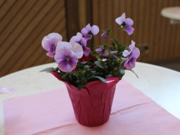 06.04.2025 - Jubiläums-Brunch